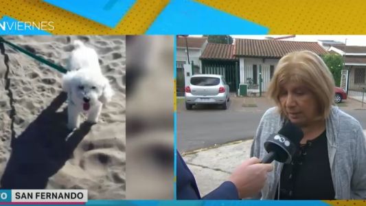 "Encontraron la camioneta pero de Roco no sabemos nada": se llevaron a su perro durante el robo
