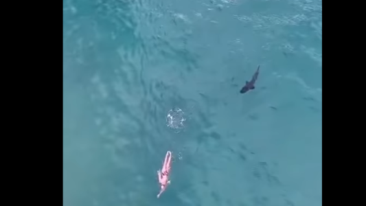 Miedo: un drone capturó el momento en que un tiburón persiguió a un nadador y éste ni se dio cuenta