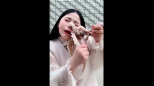 Un pulpo se "pegó" a la cara de una joven