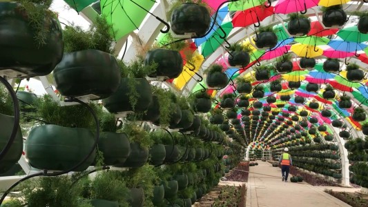 Un ambiente lleno de flores para el nuevo subte en Catar