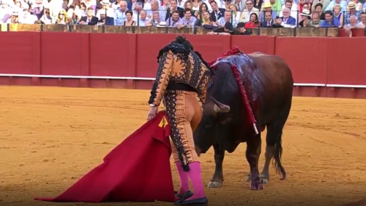 Polémico: un torero le secó las lágrimas a un toro antes de matarlo
