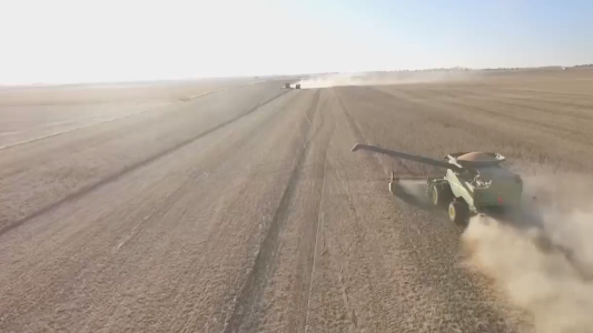 La soja en su precio más bajo de los últimos 10 años