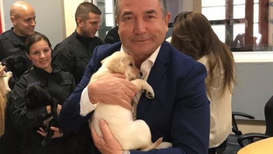 Presentaron a los siete nuevos agentes caninos de la Policía Federal