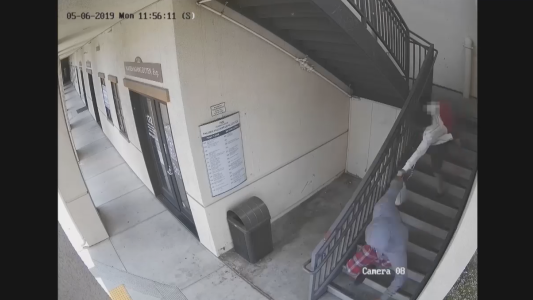 El carterista salvaje: tiró a una mujer y a su hija por las escaleras