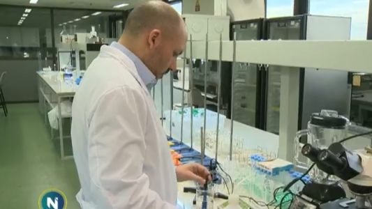 Botulismo: dos mujeres internadas tras consumir hummus artesanal