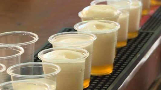 Así es la “cerveza de los faraones”