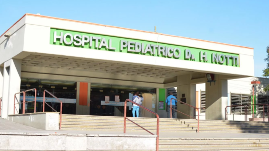 Tragedia en Mendoza: una beba de un año y medio murió tras ser atropellada por su papá