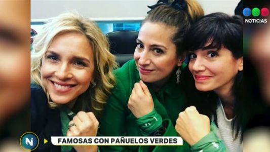 El texto de Actrices Argentinas para que se apruebe la legalización del aborto