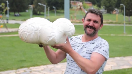 Hongo gigante en Turquía