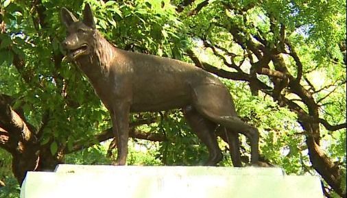 La historia de "Chonino" por la que hoy se festeja el Día Nacional del Perro