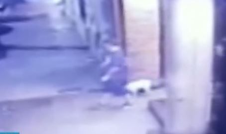 Cayó la banda de "los paseadores de perros"