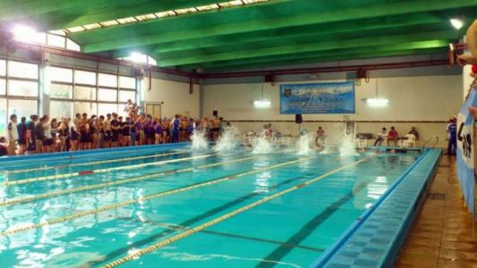 Piletazo por la educación