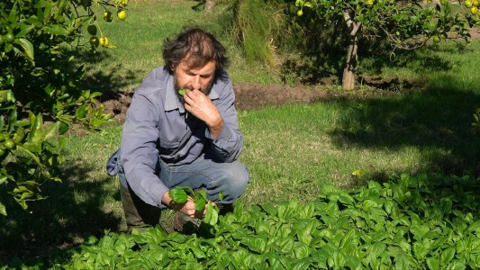 César Vega, el ecologista que quiere ser presidente de Uruguay