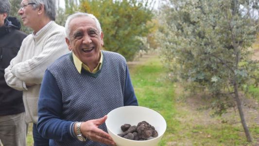 Esperó ocho años para cosechar las primeras trufas negras valuadas en 2.000 dólares el kilo