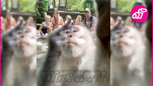 El mono que se suma a la selfie de una familia de turistas