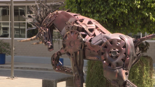 Arte con desperdicios para cuidar el medio ambiente