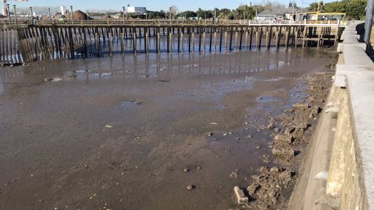 Bajante histórica del Río de la Plata: podría faltar el agua