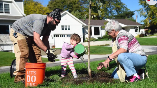 Empresa de electricidad regala árboles a sus clientes