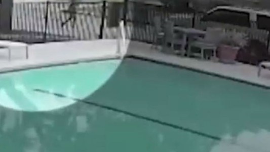 Mató a su hijo en el peligroso juego de "La gallina"