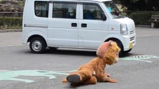 Atención: video para aprender a capturar a un león que se escapó del zoológico