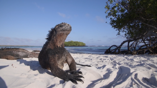 UNESCO amplió la reserva de la biósfera de Galápagos