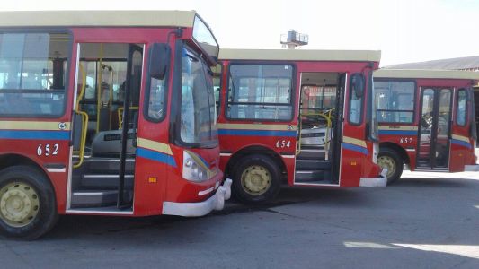 Apuñalaron a un chofer de La Perlita: suspenden el servicio en Moreno