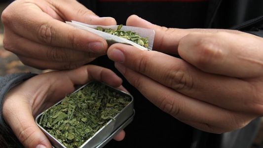 Los argentinos gastan $21.600 al año en compras de marihuana