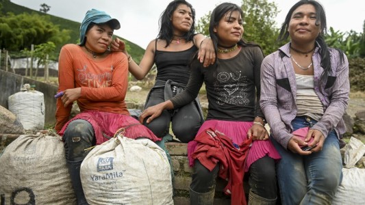 La vida "peligrosa" de las indígenas trans: destierro y trabajo en plantaciones
