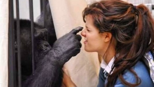 Violeta Urtizberea lució su pancita de seis meses de embarazada en la playa