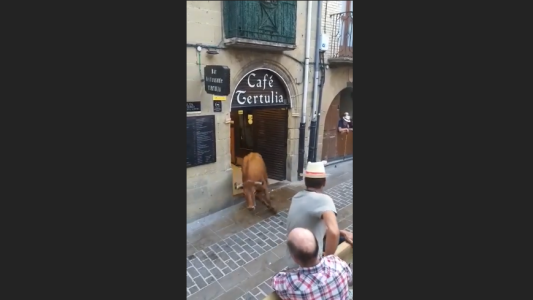 Susto por un vaca suelta en un bar