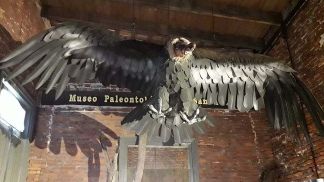 Hallan en San Pedro los restos de un cóndor de más de 10 mil años