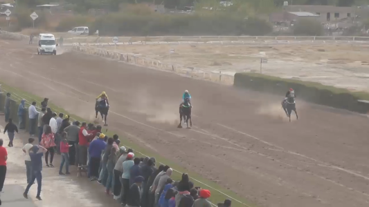 Confirmado: yegua estaba muy dopada