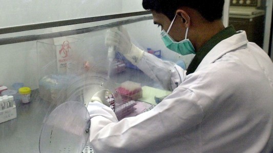 Enfermedad no identificada en Bolivia: creen que se trata de arenavirus