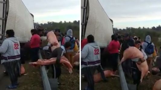 Video: saquearon un camión que se desfondó y perdió medias reses de cerdo