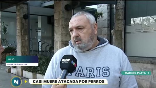 “Los perros literalmente se la estaban comiendo” dijo el padre la mujer atacada en Mar del Plata
