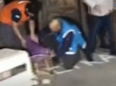 Rescataron a "Bubby", un perro abandonado en Saavedra