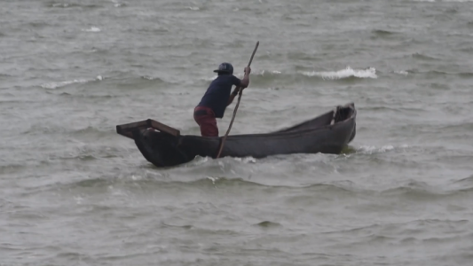 Arriesgan la vida para pescar langostas