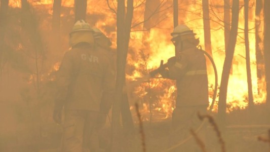 Se reanudan los incendios en Portugal a causa de los vientos