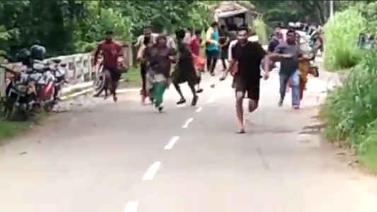 Pánico por elefante enfurecido que embistió una camioneta