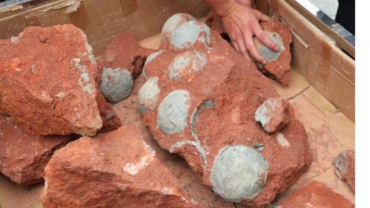 El nene chino que encontró de casualidad 11 huevos de dinosaurio de 65 millones de años