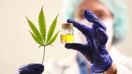 Las farmacias bonaerenses importarán y entregarán aceite de cannabis
