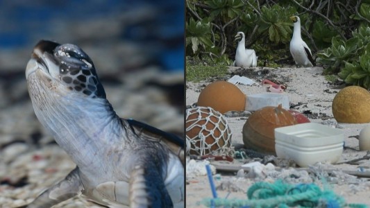 La isla con mayores desechos plásticos del mundo