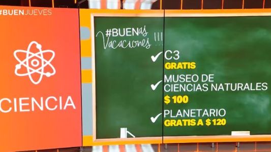Propuestas de salidas para niños curiosos