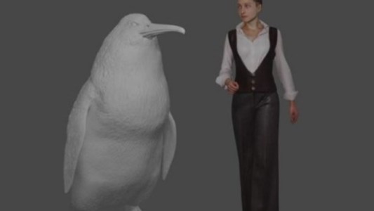 Hallaron un fósil de un pingüino gigante del tamaño de un ser humano