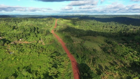 Alarma por la deforestación en la Amazonía de Brasil