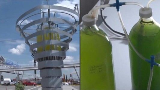 Árboles artificiales contra la contaminación