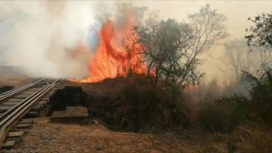 Voraz incendio hace peligrar cultivos en Bolivia