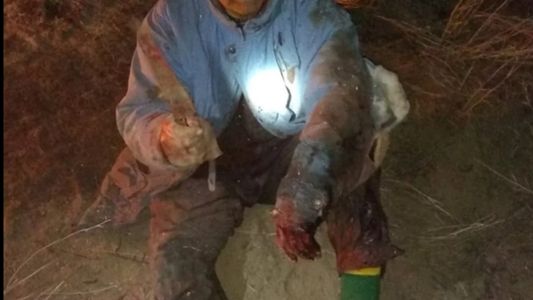 Río Negro: luchó y mató a un puma para salvarle la vida a su perro