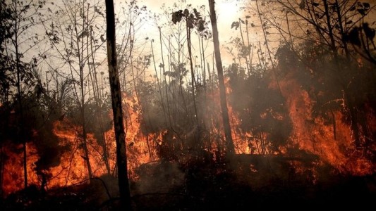 Alerta en Bolivia y Perú por el fuego en la selva amazónica