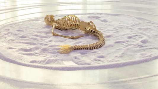 La historia detrás del esqueleto de sirena hallado en la costa del Río de la Plata